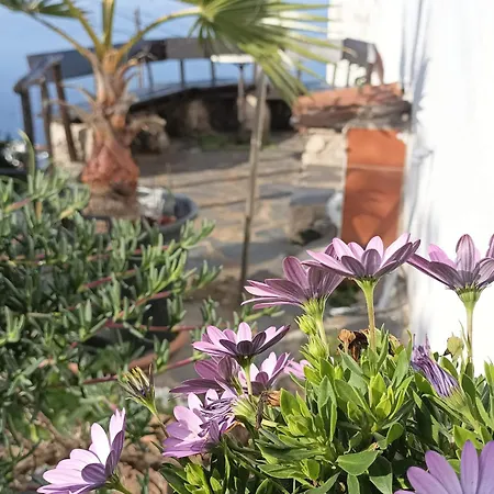 Σπίτι διακοπών Casa Madera 2 *